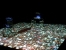 DSCN0366